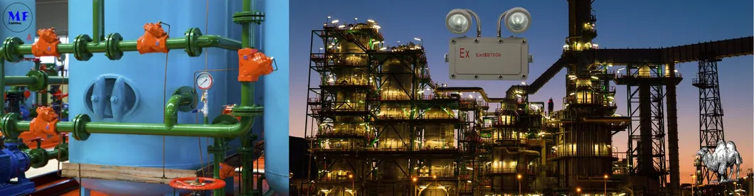 Luz de Saída de Emergência 2*5W à Prova de Explosão para Zonas Industriais, Áreas de Mineração, Fábricas Químicas, Instalações de Petróleo e Gás, Hospitais 6