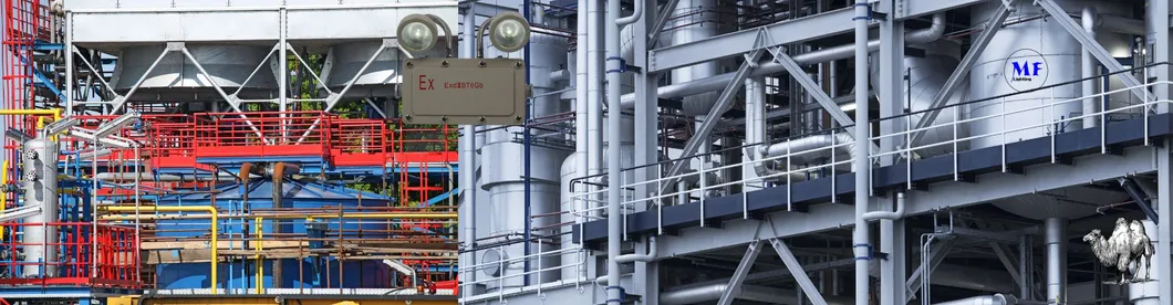 Luz de Saída de Emergência 2*5W à Prova de Explosão para Zonas Industriais, Áreas de Mineração, Fábricas Químicas, Instalações de Petróleo e Gás, Hospitais 7