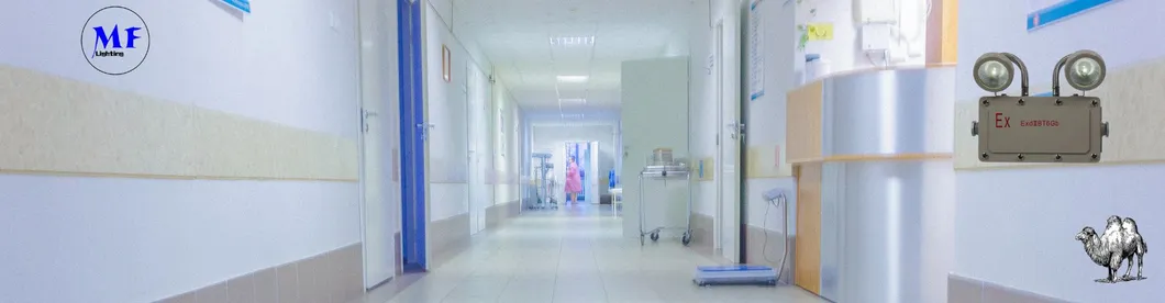 Luz de Saída de Emergência 2*5W à Prova de Explosão para Zonas Industriais, Áreas de Mineração, Fábricas Químicas, Instalações de Petróleo e Gás, Hospitais 8