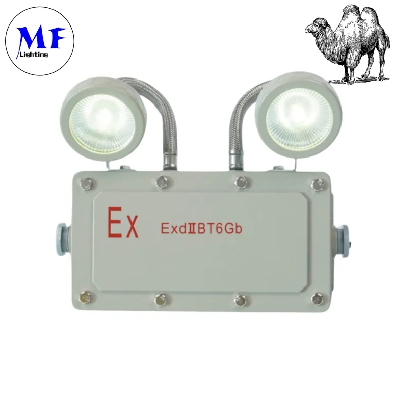 Luz de Saída de Emergência 2*5W à Prova de Explosão para Zonas Industriais, Áreas de Mineração, Fábricas Químicas, Instalações de Petróleo e Gás, Hospitais 1