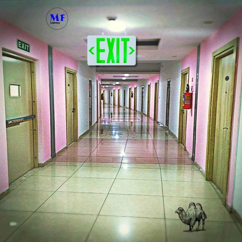 Luz de Emergência LED 3W IP43 AC85-265V para Escolas, Hospitais, Metrôs, Estações de Trem, Shoppings, Supermercados, Aeroportos, Escritórios, Fábricas, Hotéis, Subsolos 11