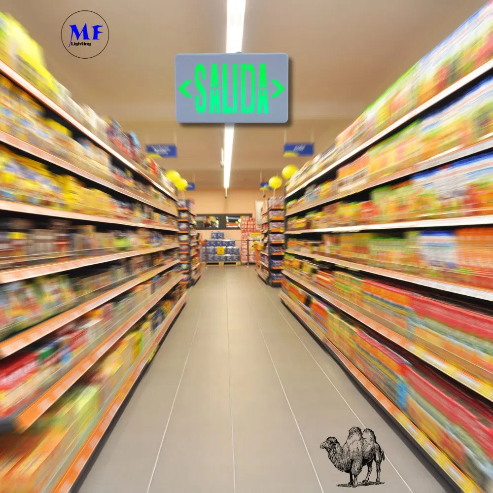 Luz de Emergência LED 3W IP43 AC85-265V para Escolas, Hospitais, Metrôs, Estações de Trem, Shoppings, Supermercados, Aeroportos, Escritórios, Fábricas, Hotéis, Subsolos 12