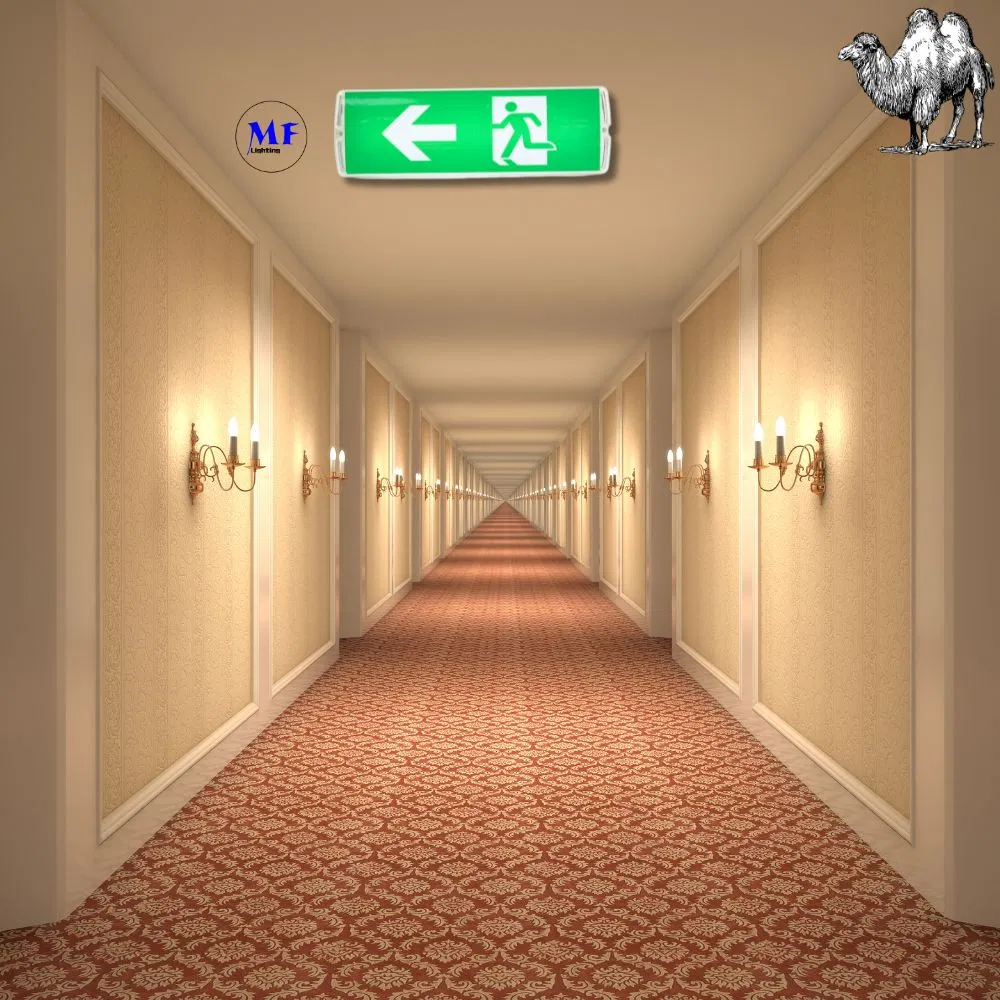 Luz de Emergência LED 3W IP43 AC85-265V para Escolas, Hospitais, Metrôs, Estações de Trem, Shoppings, Supermercados, Aeroportos, Escritórios, Fábricas, Hotéis, Subsolos 14