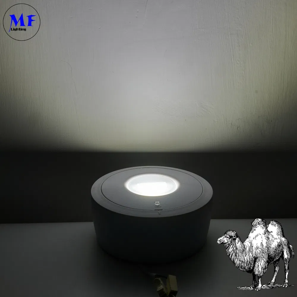 Luminária de Painel LED para Baixo Emergência Pânico Sinal de Saída de Emergência IP65 Bateria de Reserva Recarregável Escola Pública Hospital Branco 3