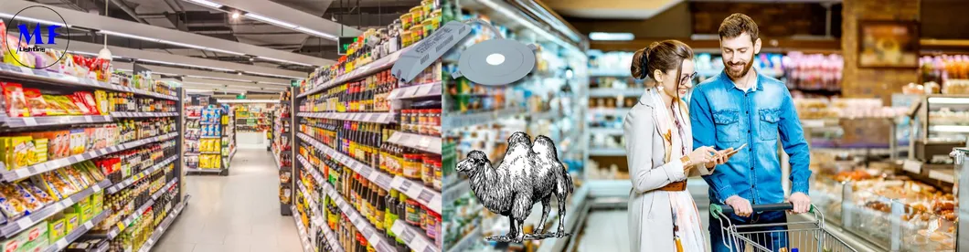 Luz de Sinalização de Saída de Emergência Antipânico Downlight 3h IP65 Bateria Shopping Oficina Centro Comercial 11