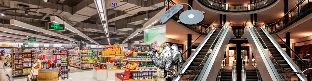 Luz de Sinalização de Saída de Emergência Antipânico Downlight 3h IP65 Bateria Shopping Oficina Centro Comercial 12