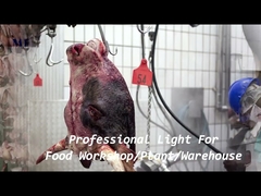 1200 mm IP68 à prova d'água Tri-Proof LED cadeia de luz montada em suporte