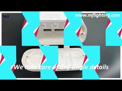 Luzes lineares de LED IP65 com proteção tripla reguláveis ​​para fábrica de alimentos