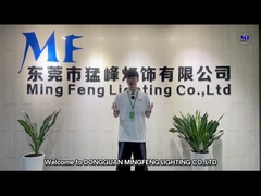 Ming Feng Lighting CO., LTD