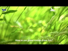 MF Solar Street Light Pigeon 3 vídeo