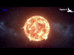 MF Solar Street Light Pigeon 4 vídeo