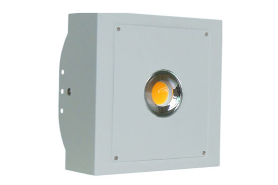 50 Watt Greenhouse Full Spectrum LED Grow Lights Use CREE CXA2530 / CXB3590