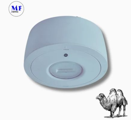 Panel Down Light LED Panic Emergency Escape Exit Sign Light IP65 Battery Backup Rechargeable Public School Hospital White