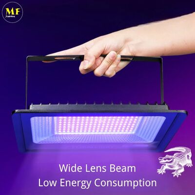 Factory Price Efficient 100W 200W Heat Dissipation IP66 Waterproof Adjustable Body Aluminum Material UV Curing Flood Light for Paint Printing Nails Repair Resin