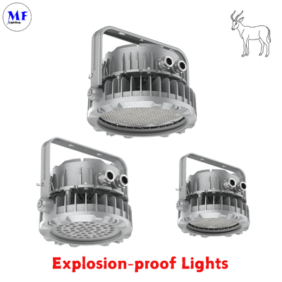 Factory Price 400W ExplosionProof Flood Light IECEx ATEX Die-casting Aluminum IP66 IK08 Beam Angle Optional Oil Gas Chemical Hazard Industry LED Explosion Proof Light