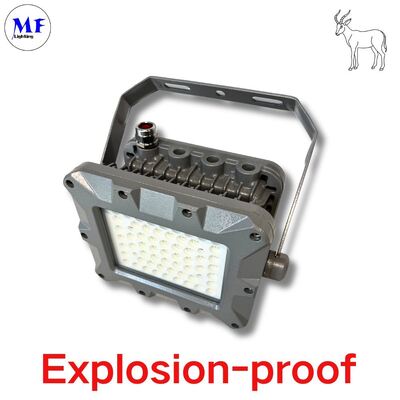 IP66 50W 75W 100W 150W 200W 240W 300W 350W 400W EATON Mineração Minging Zona Offshore à prova de explosão
