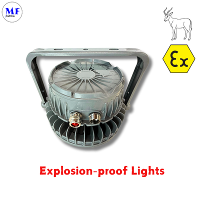 Lâmpada LED Highbay à Prova de Explosão OEM ODM IP66 IK08 Atex 140LM/W IP66 IK08 50W 100W 150W 200W 300W 400W Com Lente de Vidro Temperado para Zona Perigosa de Petróleo, Gás, Química e Mineração